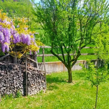 Tatil Evi Ciabot Talin